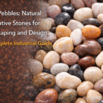 River Pebbles: Natural Decorative Stones for Landscaping and Design